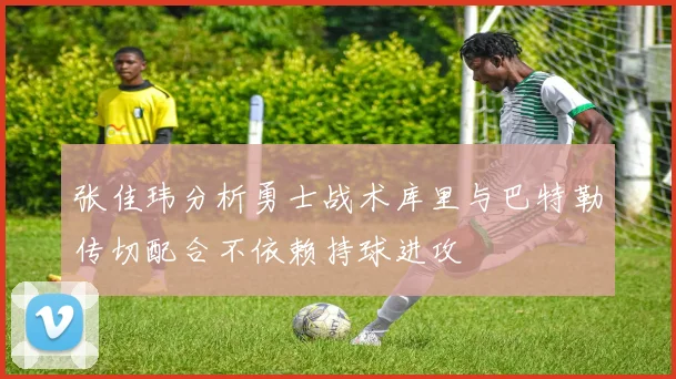 张佳玮分析勇士战术库里与巴特勒传切配合不依赖持球进攻