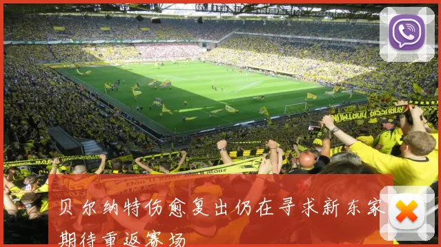 贝尔纳特伤愈复出仍在寻求新东家期待重返赛场