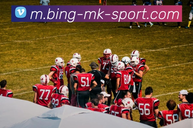 MK体育平台生态图