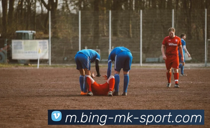 MK体育APP 封面图