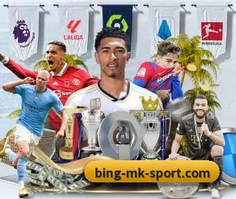 MK体育 APP(mksports)
